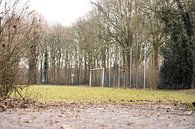 Goal bij FC Ter Apel '96 | Over de Bal van Over de Bal thumbnail