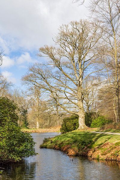 Landgut De Braak in Drenthe von Hilda Weges