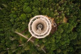 Uitkijkplatform bij de boomtopwandeling Bad Wildbad ... een zee van groen van Capture ME Drohnenfotografie