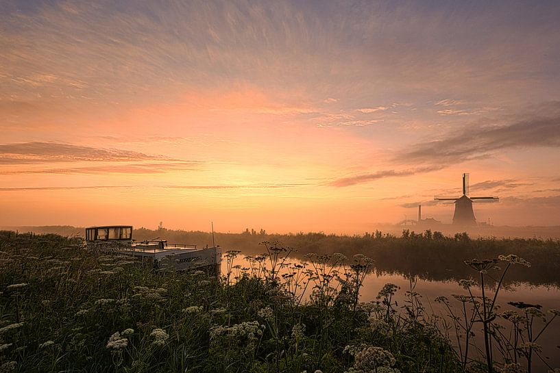 The Kaagmolen and the Albatros in the mist by peterheinspictures