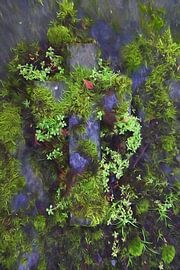 Bemost cross by Henk Egbertzen