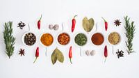 Herbs and spices on a white background