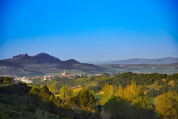Obanos (Navarra) in de verte met de kerktoren van Ton Van Zeijl