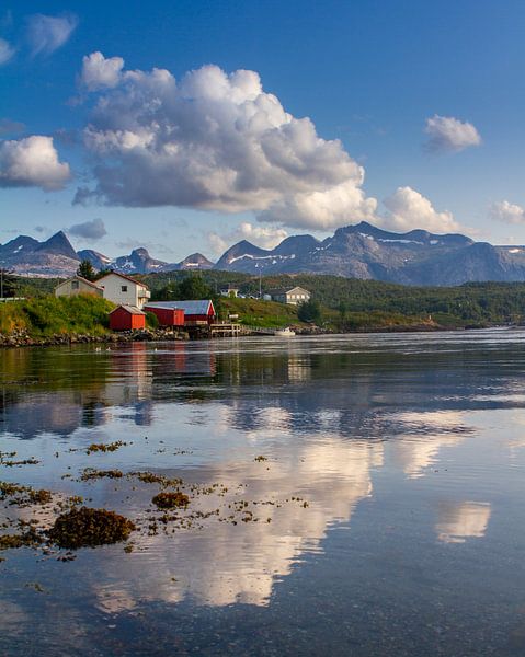 Saltstraumen in Noorwegen van Hamperium Photography