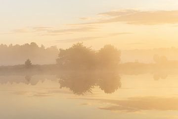 Lever de soleil Terhorsterzand (Pays-Bas) sur Marcel Kerdijk