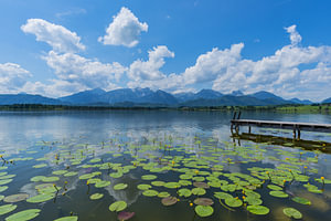 Hopfensee