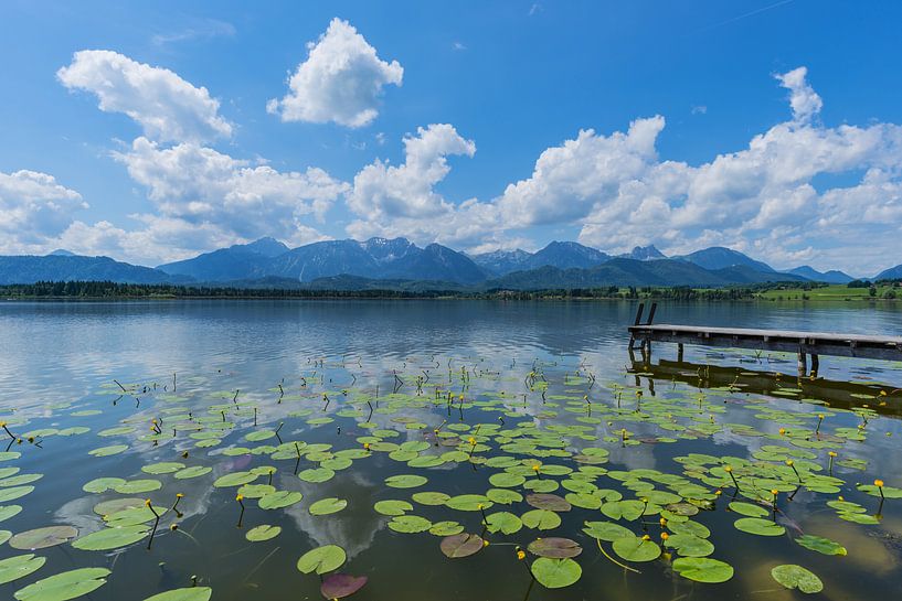 Hopfensee by Walter G. Allgöwer