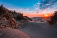 Gleisloser Sand