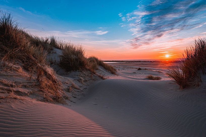 Gleisloser Sand von Arjen Zeeders