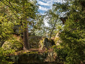 Katzstein, Sächsische Schweiz - Wald nahe Signal von Pixelwerk