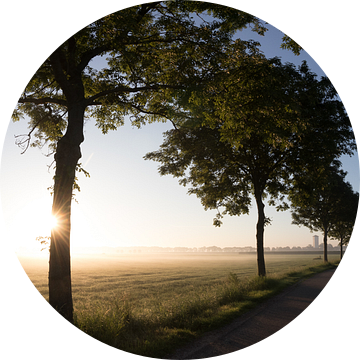 Mist en ochtendzon op een zomerochtend op de weg naar de Watertoren van Werkhoven in de Krommerijnst van Arthur Puls Photography
