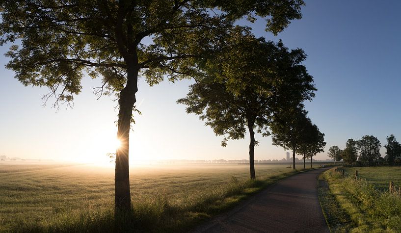 Brouillard et soleil matinal un matin d'été sur la route du château d'eau de Werkhoven dans la régio par Arthur Puls Photography