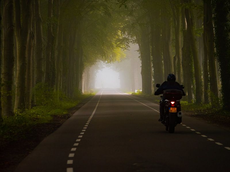 Il y a toujours de la lumière au bout du tunnel, même dans le brouillard. par Suzan Brands