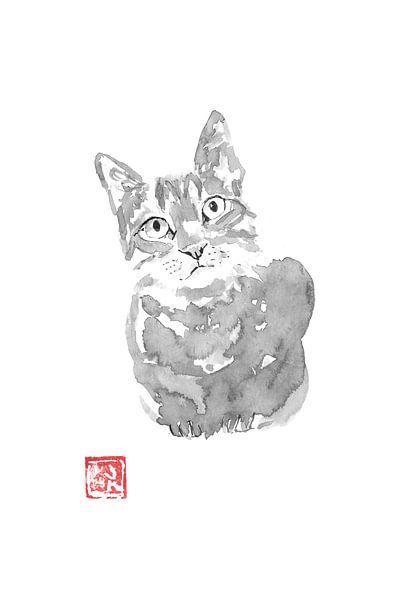 grey cat by Péchane Sumie