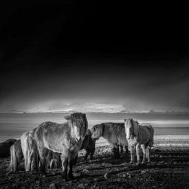 Yimei Sun Profile picture