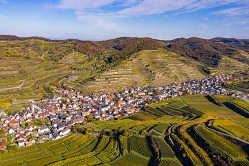 Aerial view Oberbergen in the Kaiserstuhl by Werner Dieterich