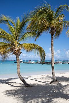 Aruba, Palm Beach, Palmboom, blauwe lucht, blauwe zee, wit strand van Joyce Perez