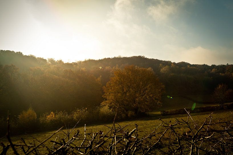 Zon in de herfst von Bas Stijntjes