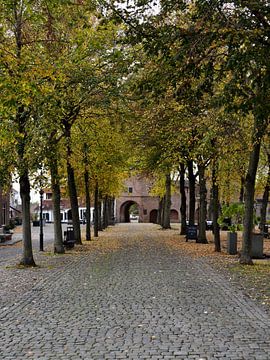 L'automne au Vischmarkt de Harderwijk sur Gerard de Zwaan