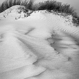 Duinen van Terschelling van Jan Linskens