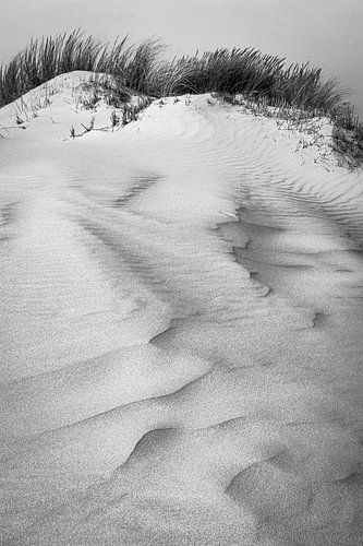 Terschellinger Dünen von Jan Linskens