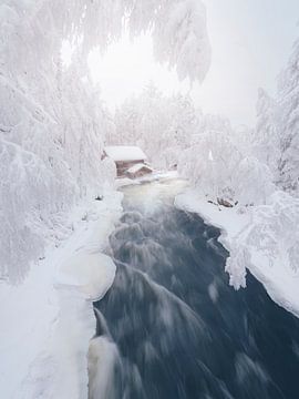 Vieux moulin avec rivière en hiver | photographie de voyage imprimée | Parc national d'Oulanka en Laponie