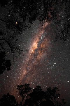 Milky Way in the Bolivian jungle van Lucas De Jong