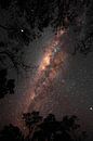 Milky Way in the Bolivian jungle by Lucas De Jong thumbnail