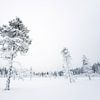 Winterlandschap III van Sam Mannaerts