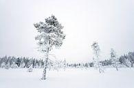 Winterlandschap III van Sam Mannaerts thumbnail
