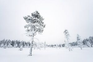 Winterlandschap III