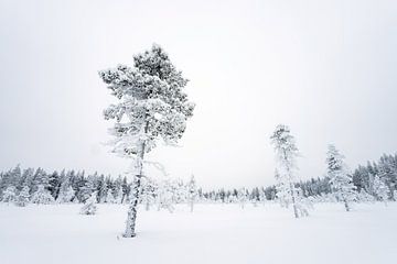Winterlandschap III van Sam Mannaerts
