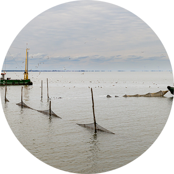 Vissersboot Enkhuizen op het IJsselmeer