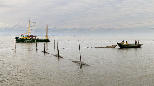 Vissersboot Enkhuizen op het IJsselmeer