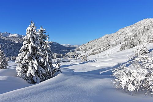 Idyllisch besneeuwd berglandschap op een koude winterdag