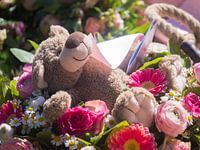 Liggende beer tussen de bloemen