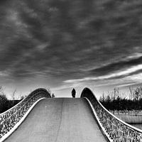 Hoge brug Maximapark