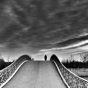 Maxima Park Hochbrücke von fotosvan leidscherijn