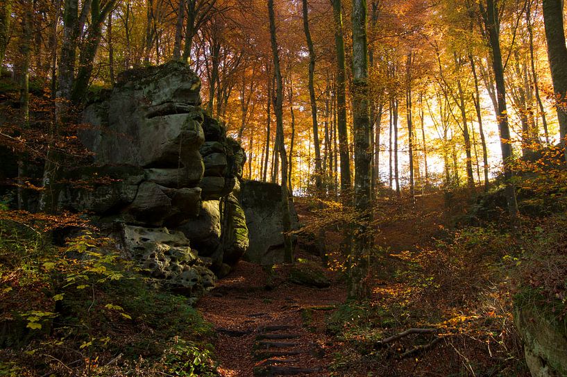 Herfst in het bos met rotsen by Paul Wendels