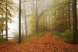 Landschap Herfst 3 