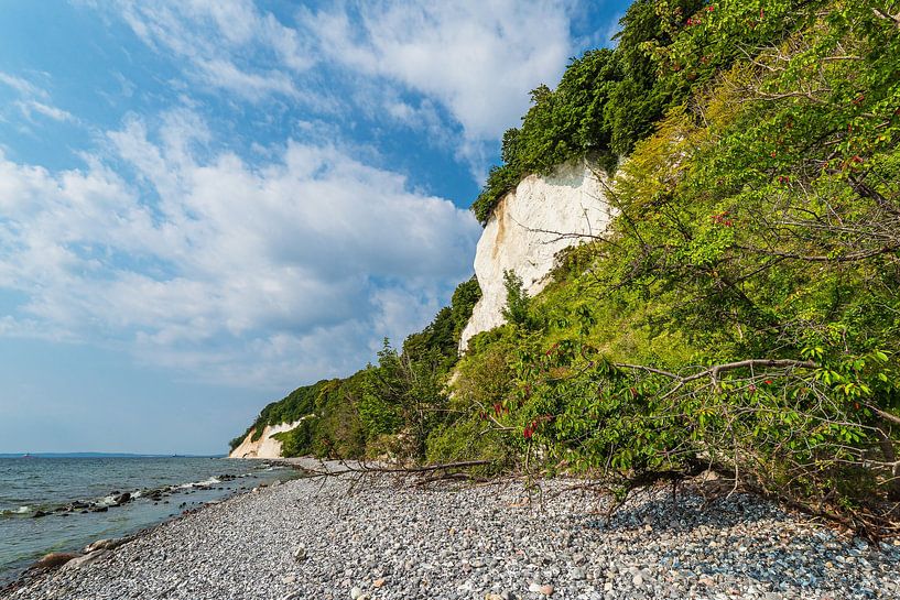 Kreidefelsen an der Küste der Ostsee auf der Insel Rügen von Rico Ködder