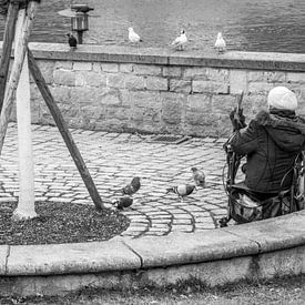 Oude vrouw zit eenzaam in de stad en kijkt naar de duiven van Animaflora PicsStock