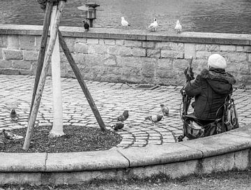 Vieille femme assise seule dans la ville et observant les pigeons sur Animaflora PicsStock