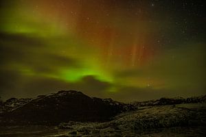 Nuit d'hiver avec aurores boréales