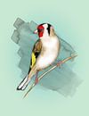 Goldfinch watercolour by Bianca Wisseloo thumbnail