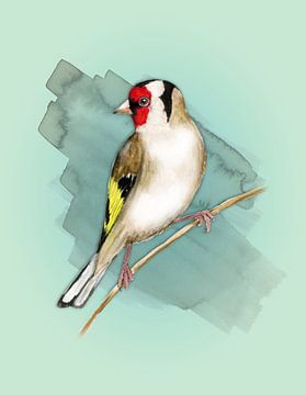 Goldfinch watercolour by Bianca Wisseloo
