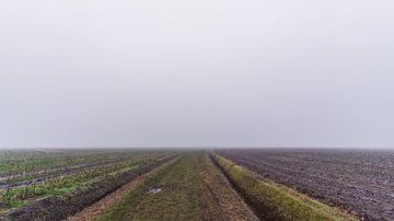 De Es in de mist. van zeilstrafotografie.nl