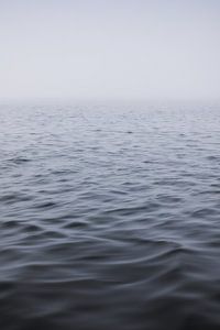 Mistige Ochtend aan het Water: Een minimalistisch Meesterwerk