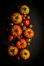 Tomatenoogst van Susan Lambeck thumbnail