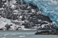 Aialik Glacier, Alaska van Tilly Meijer thumbnail